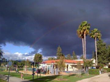rainbow over the palms