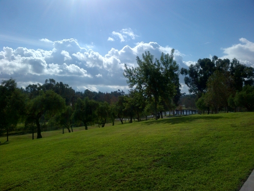 A gorgeous winter (?!) day in Southern California. This was my view on my 50-minute bike ride through the park on Sunday.